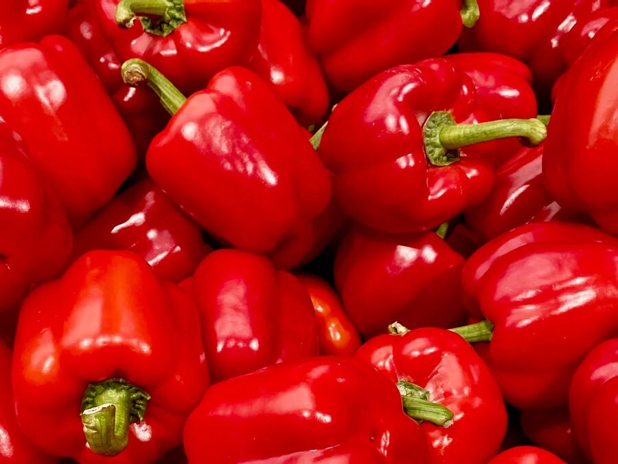Red Bell Pepper