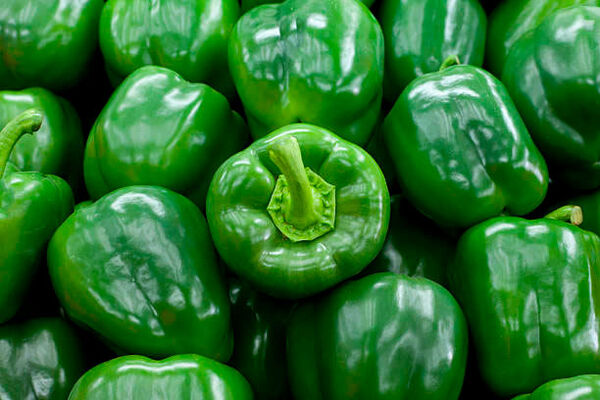 Green Bell Pepper