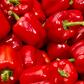 Red Bell Pepper