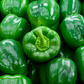 Green Bell Pepper